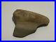 Ancient_Rare_Indian_Artifact_Hand_Tool_Carved_Megalodon_Tooth_01_jy