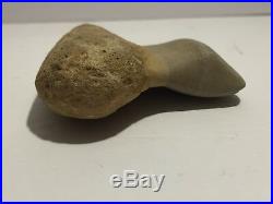 Ancient Rare Indian Artifact Hand Tool Carved Megalodon Tooth