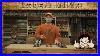 The_3_Hand_Planes_Power_Tool_Woodworkers_Should_Own_How_To_Buy_Handplanes_01_byg